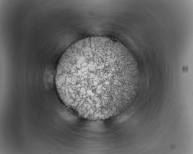 X0000101150576200807111008