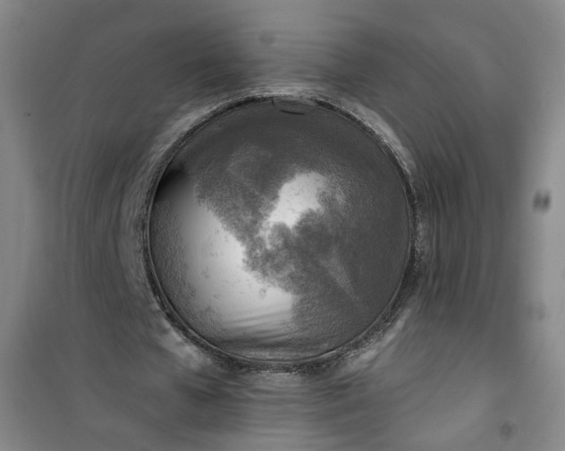 X0000101150577200807111007