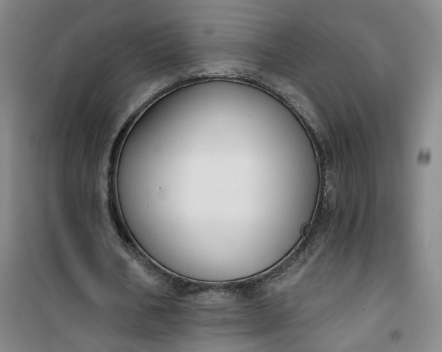 X0000101150578200807111007