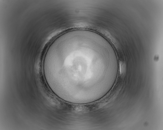 X0000101150579200807111007