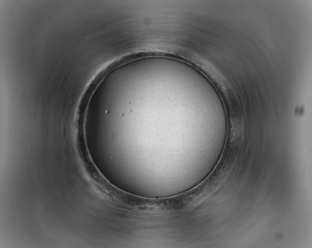 X0000101150580200807111007