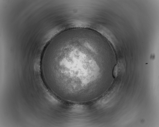 X0000101150581200807111007