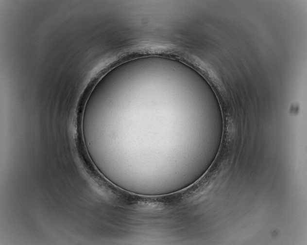 X0000101150582200807111007