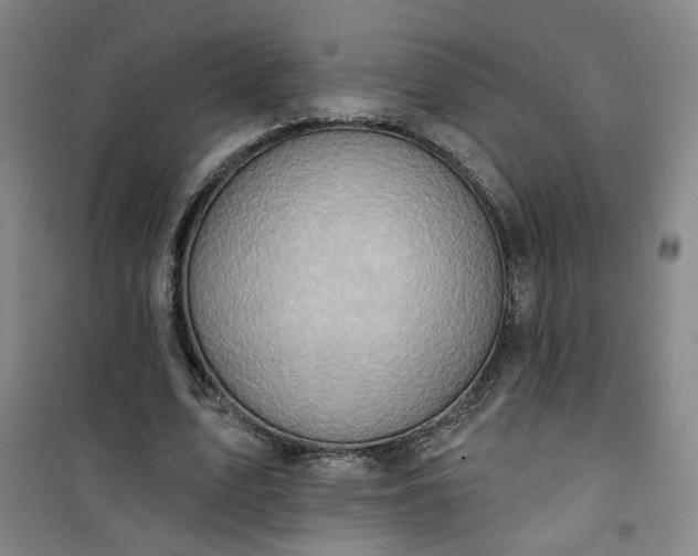 X0000101150583200807111007