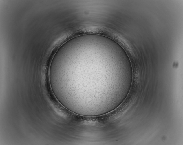 X0000101150586200807111007