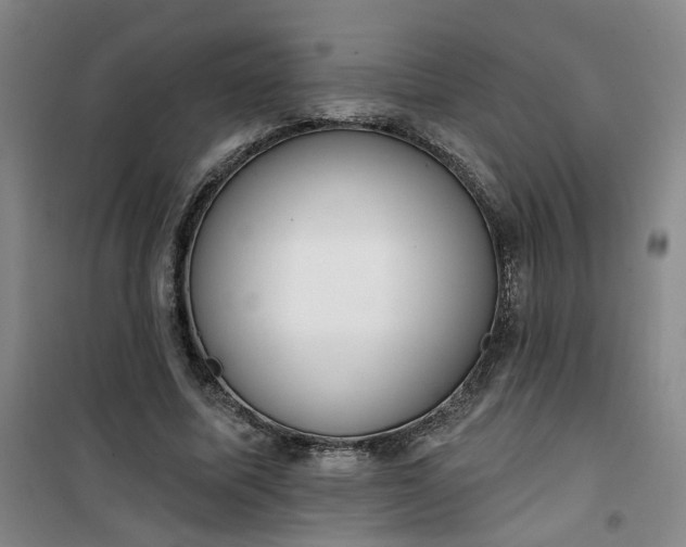 X0000101150587200807111007