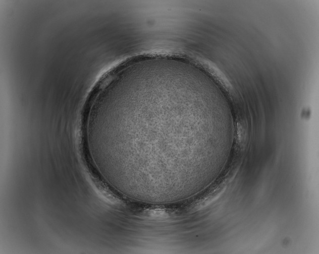 X0000101150588200807111007