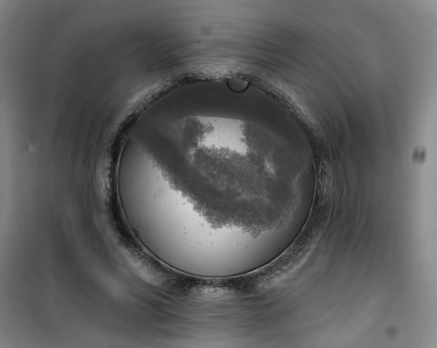 X0000101150590200807111007