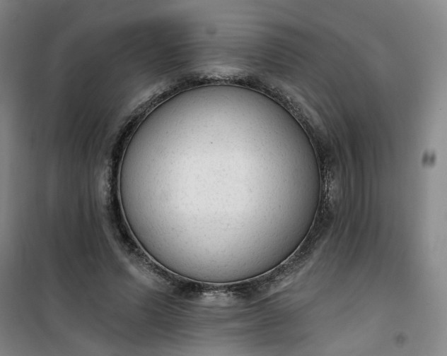 X0000101150591200807111007