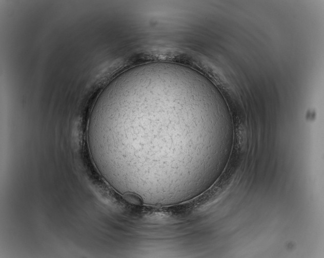 X0000101150594200807111007