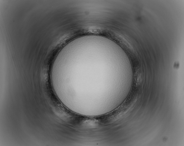 X0000101150595200807111007