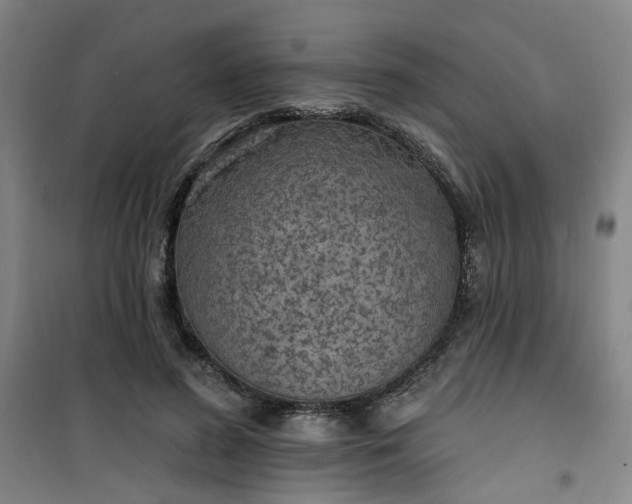 X0000101150596200807111007