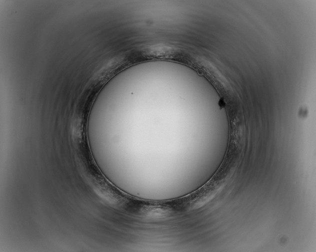 X0000101150597200807111007