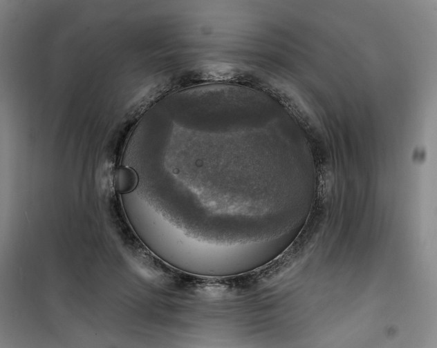 X0000101150598200807111007