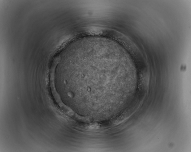 X0000101150600200807111007