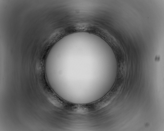 X0000101150601200807111007