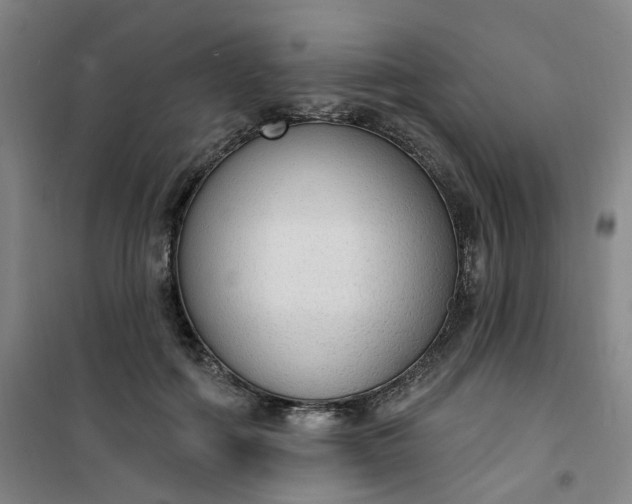 X0000101150602200807111007