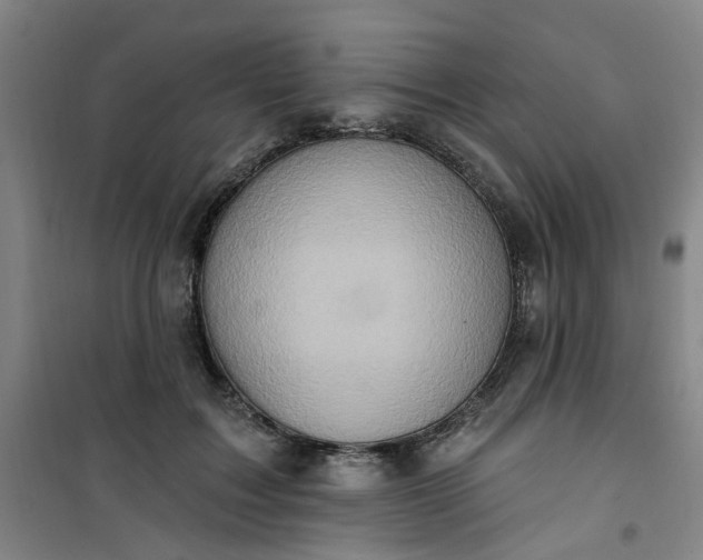 X0000101150603200807111007