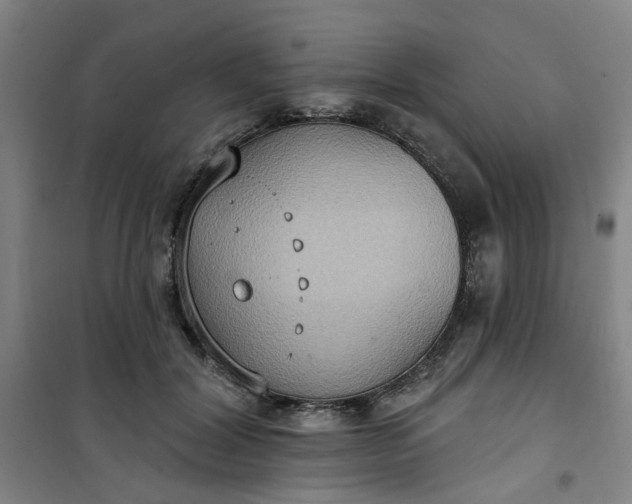 X0000101150604200807111007