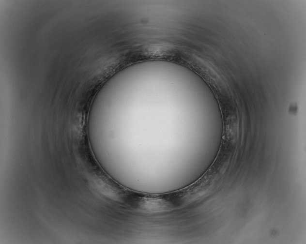 X0000101150605200807111007