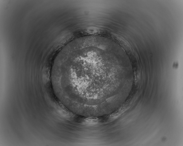 X0000101150606200807111007