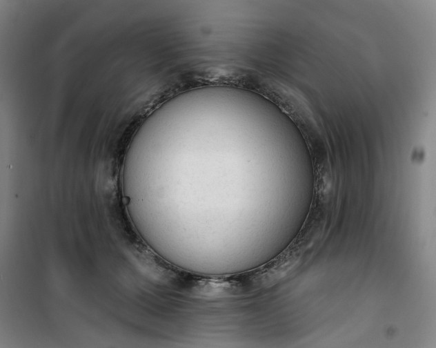 X0000101150607200807111007