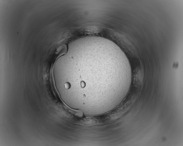 X0000101150608200807111007