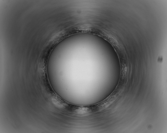 X0000101150609200807111007