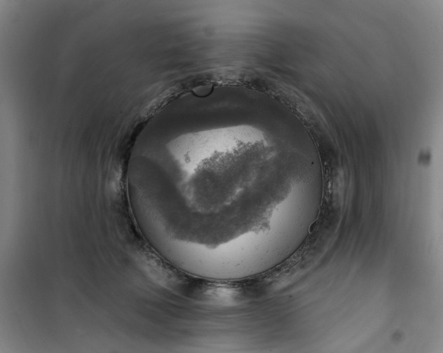 X0000101150610200807111007