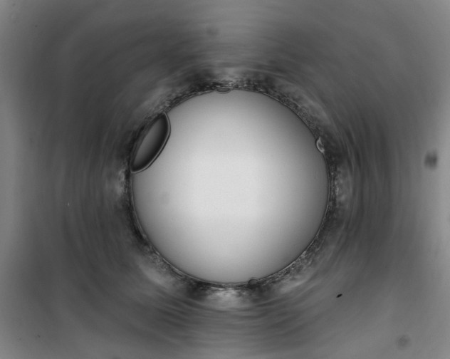 X0000101150611200807111007