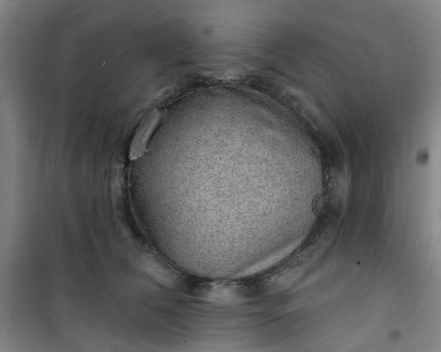 X0000101150612200807111007