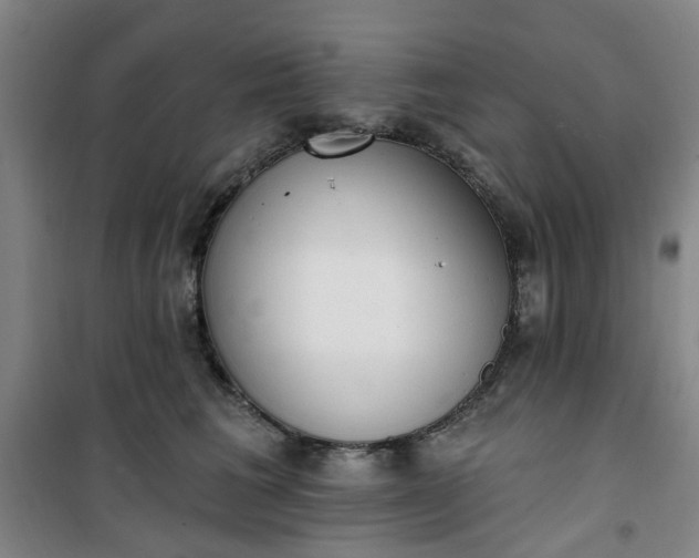 X0000101150613200807111007