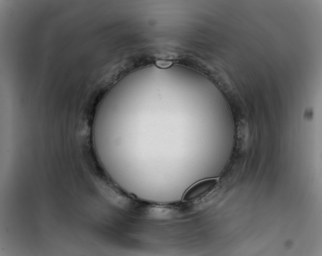 X0000101150614200807111007