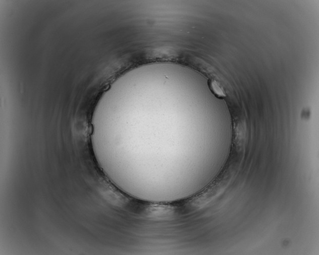 X0000101150617200807111007