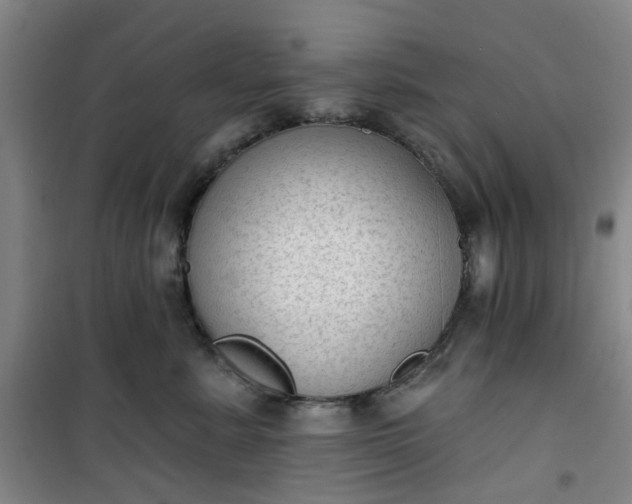 X0000101150619200807111007