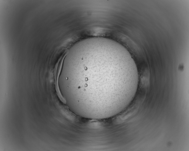 X0000101150620200807111007