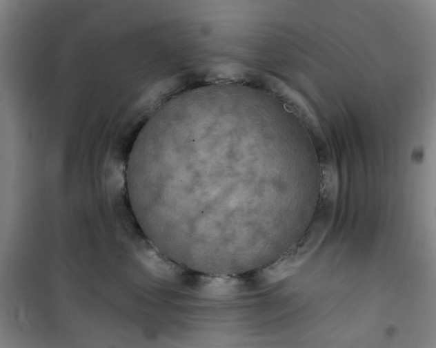 X0000101150621200807111007