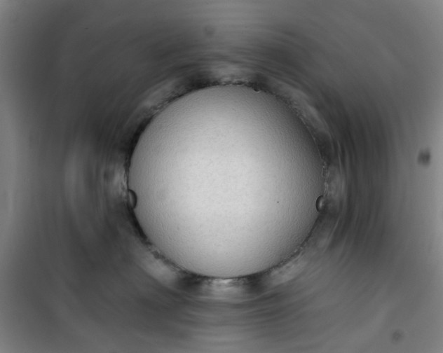 X0000101150622200807111007