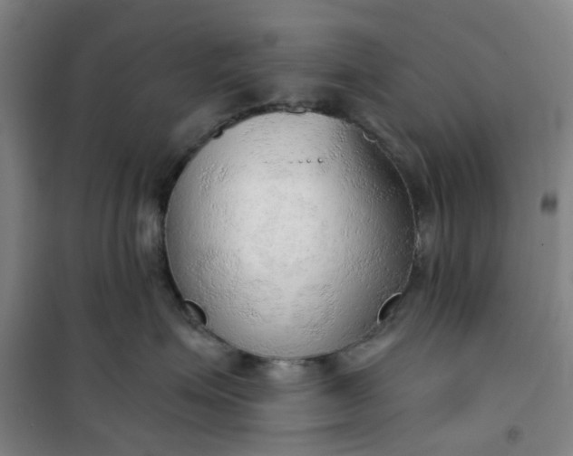 X0000101150623200807111007