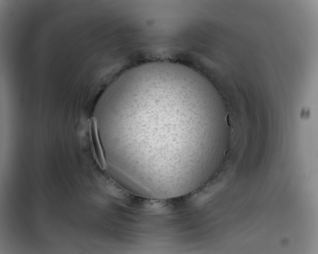 X0000101150624200807111007