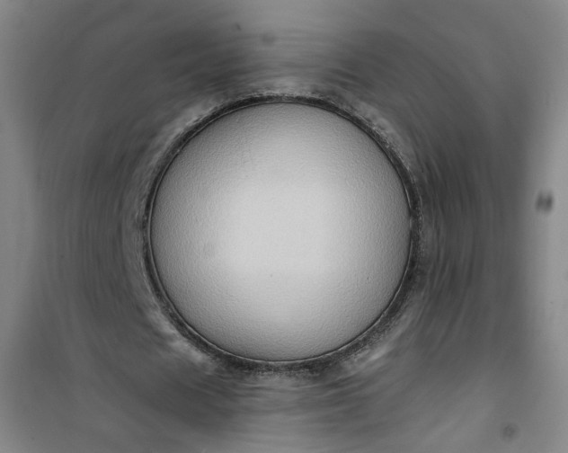 X0000101150625200807111006