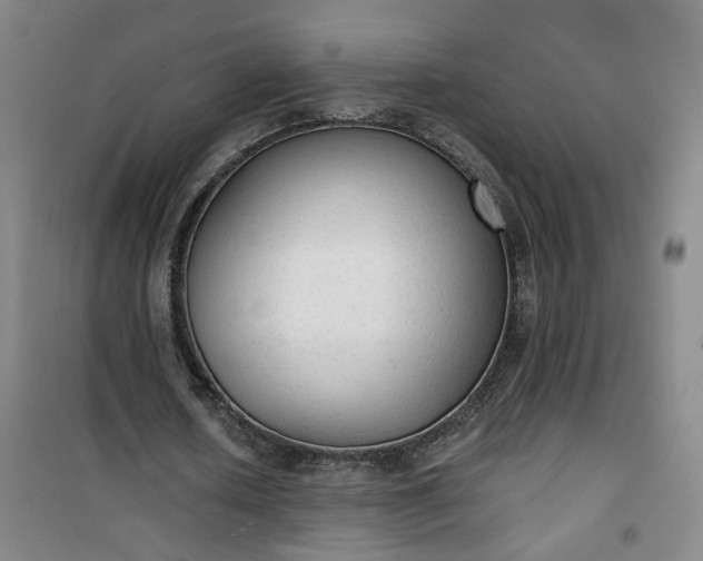 X0000101150626200807111006