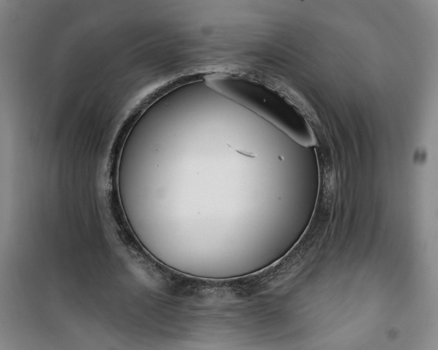 X0000101150628200807111006