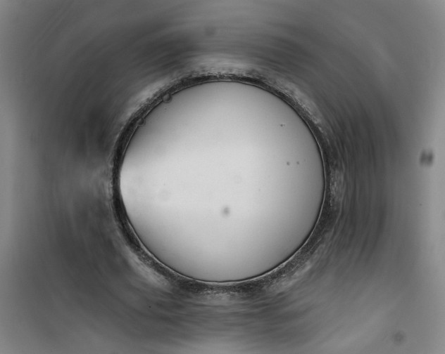 X0000101150629200807111006