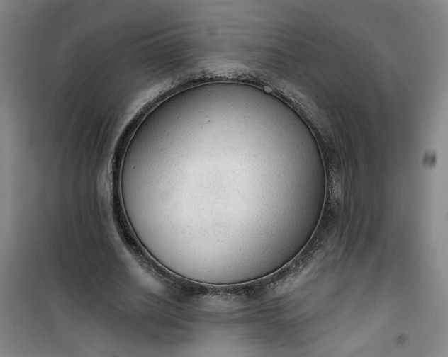 X0000101150630200807111006