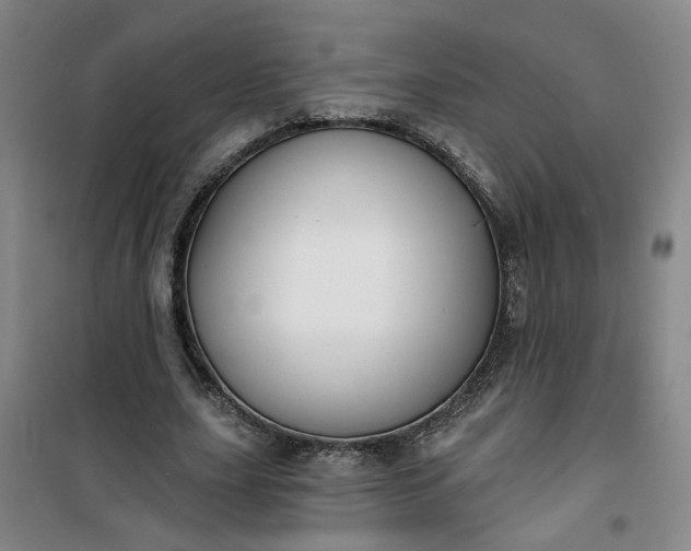 X0000101150631200807111006