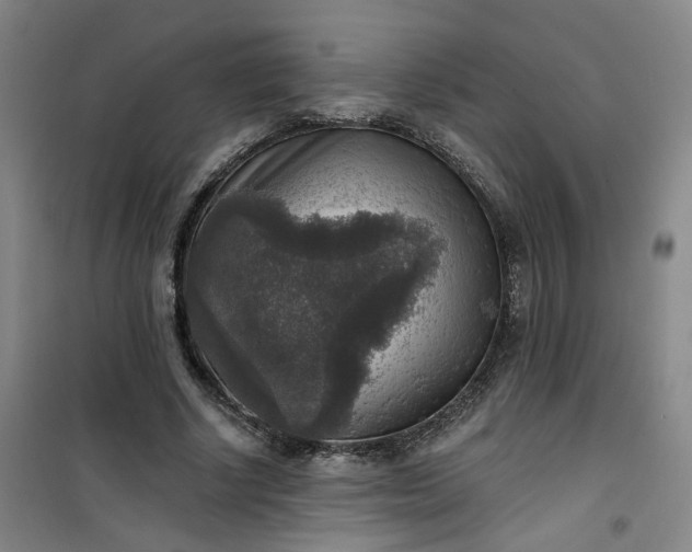 X0000101150634200807111006