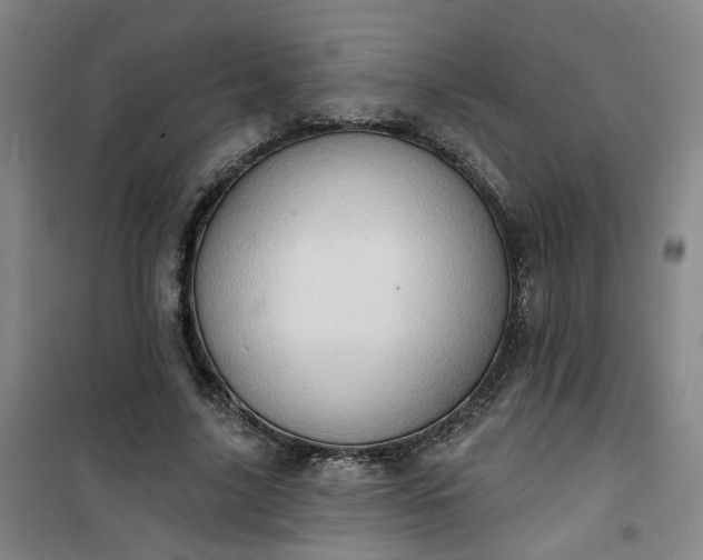 X0000101150635200807111006