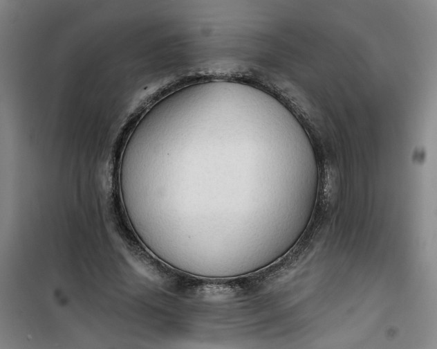 X0000101150636200807111006