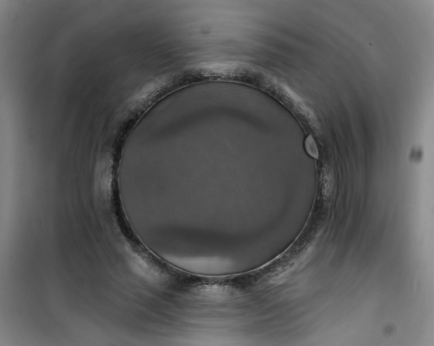 X0000101150637200807111006